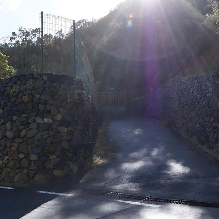 Ferienwohnung Complejo Rural Pajar De Bento Agulo Exterior foto